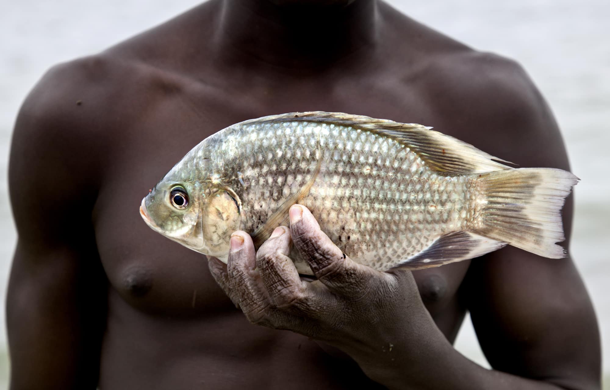 Holding a fish in Ghana