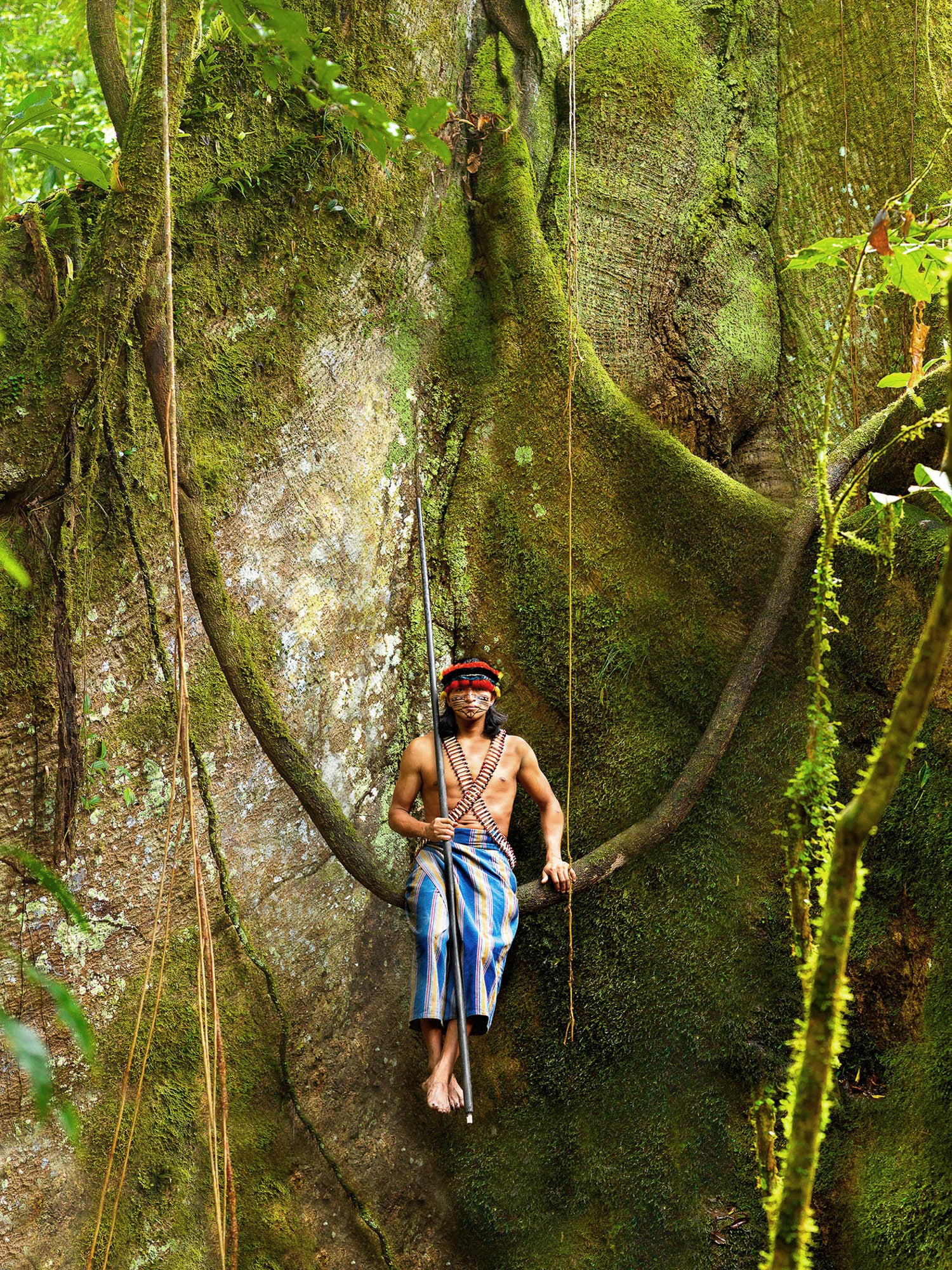 Man sitting on a large vine in Ecuador