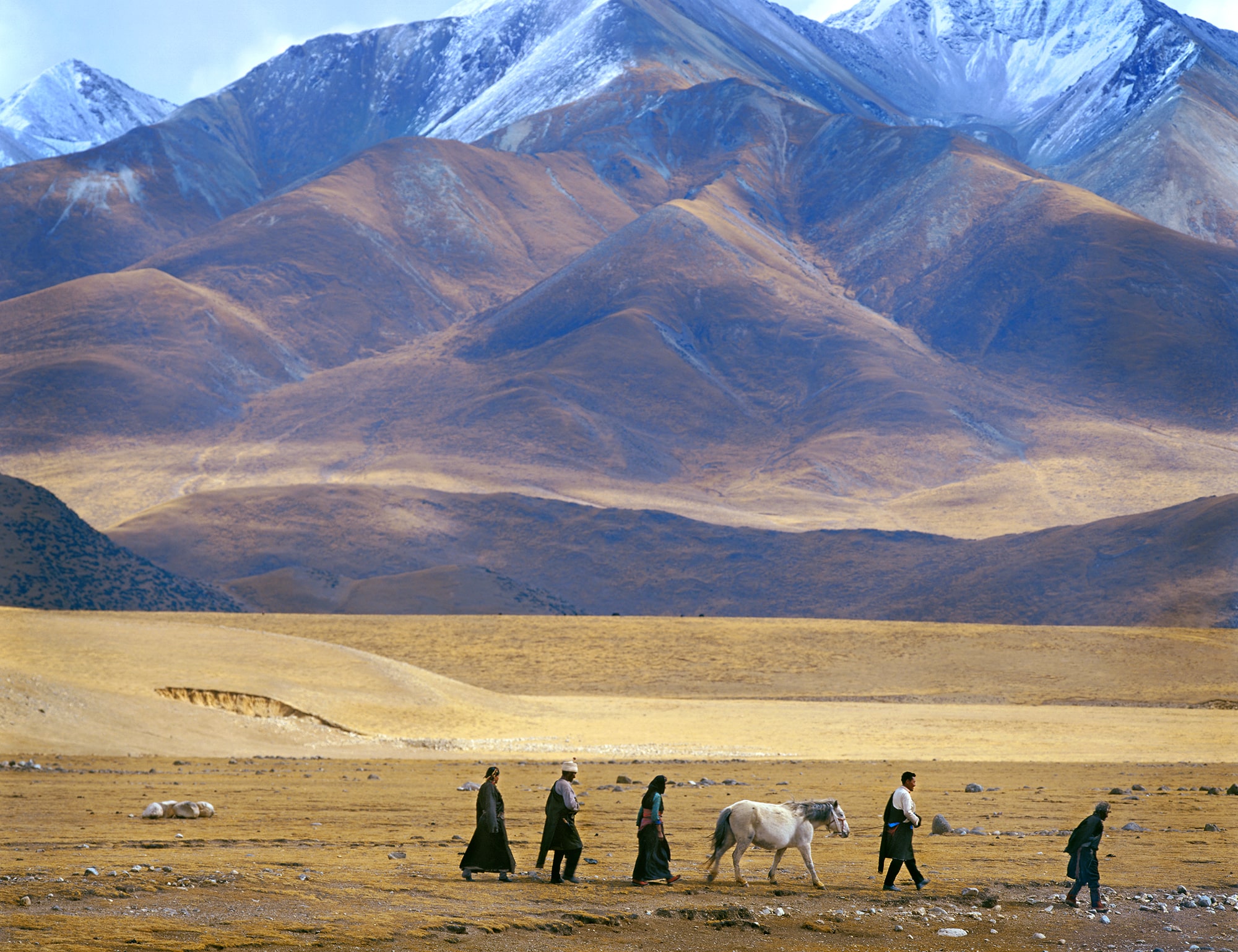 White horse and group of people walking through the Tibet landscape