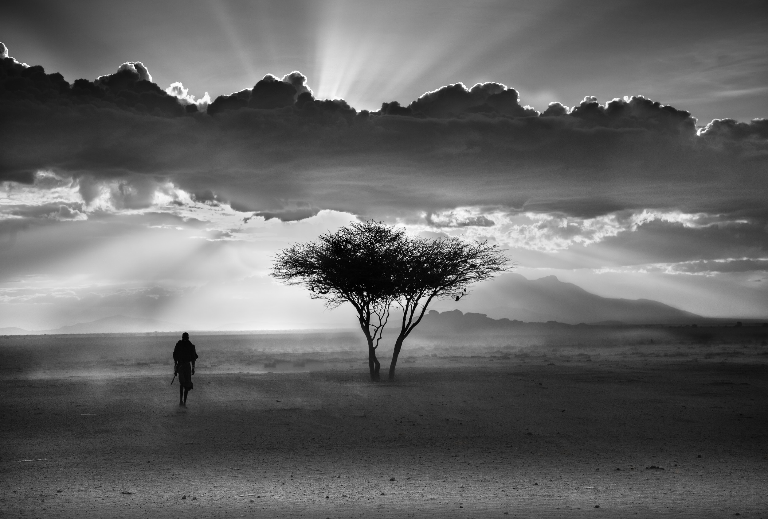 Tree Silhouette in Kenya